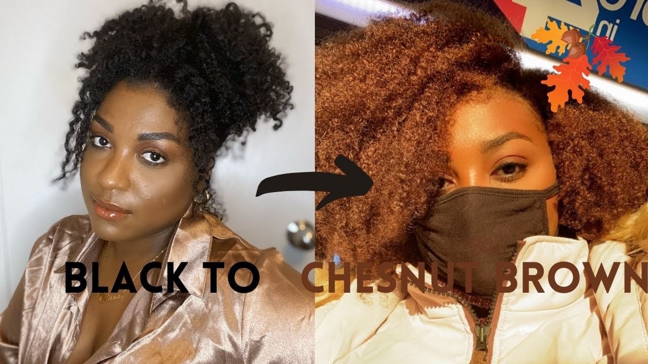 DYING MY NATURAL TYPE 4 HAIR CHESTNUT BROWN (NO BLEACH) ||JUSTINE SKYE INSPIRED!|| THERESA CHANTAL
