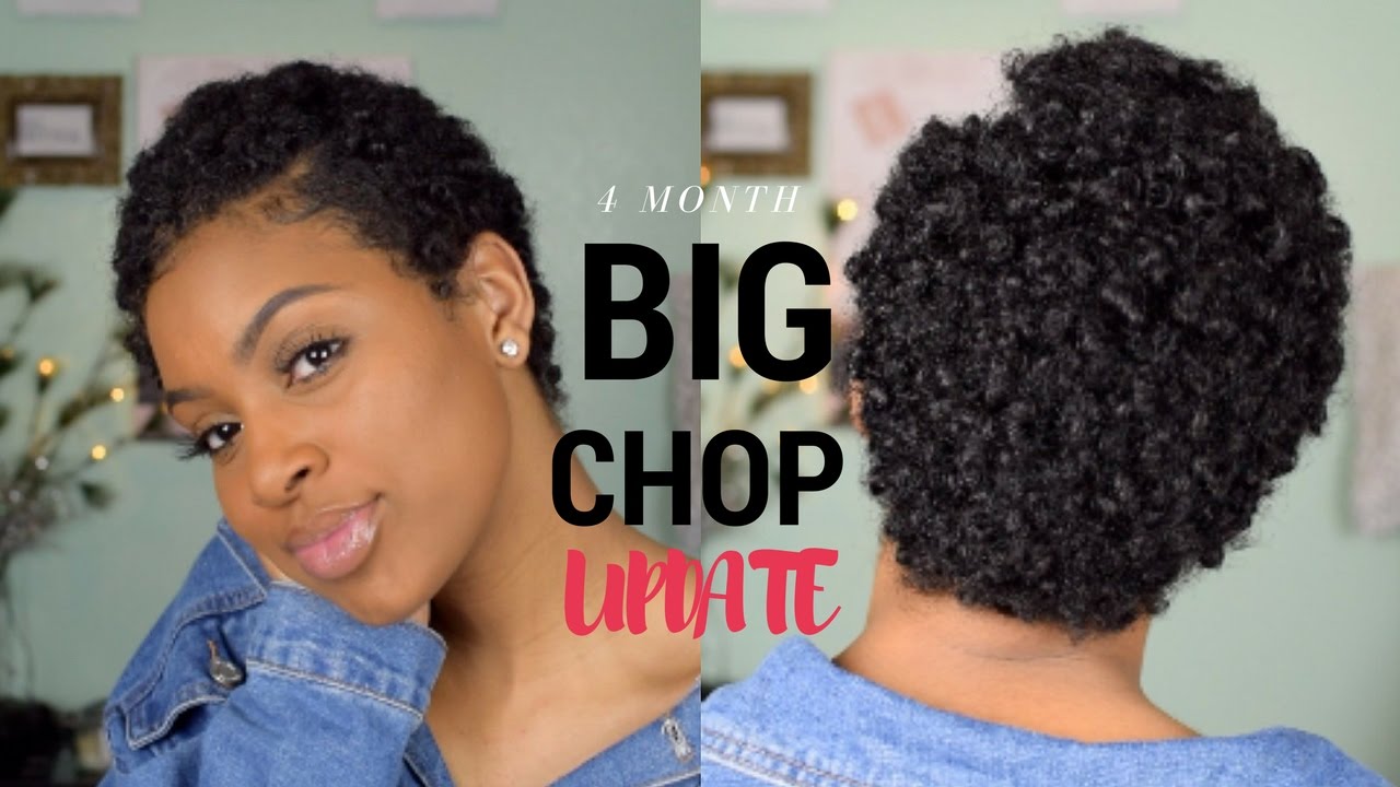 4 Month Post Big Chop Update! | Hair Type, Biotin, Coloring My Hair?