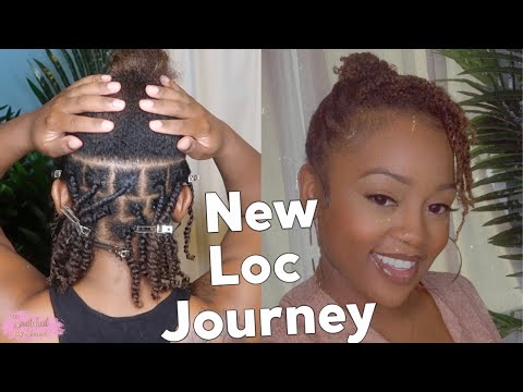 *VERY DETAILED* Two Strand Twist Starter Locs At Home | Heat Damage, Products, Maintenance + More