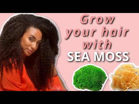 NEW | Sea Moss 5 ways for hair growth, strength and definition