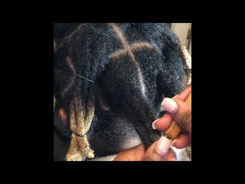 (KodakKnots) How to combine traditional Locs into Wicks