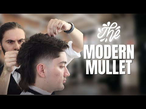 2023 Modern Mullet with Low Taper: Haircut &amp; Consultation