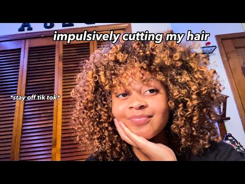 trying the wolf cut on curly hair | déja dominique