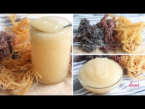 How To Make SEA MOSS GEL! In 3 Easy Steps!