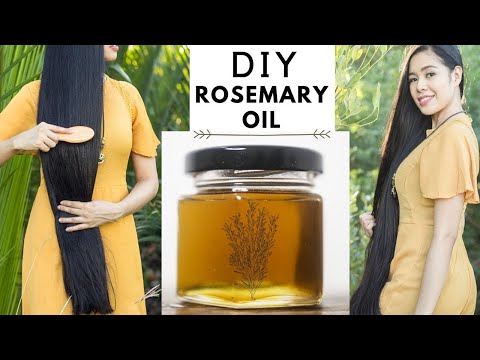 How To Make Rosemary Oil For Faster Hair Growth, Thicker Hair &amp; Prevent Hair Loss -Beautyklove