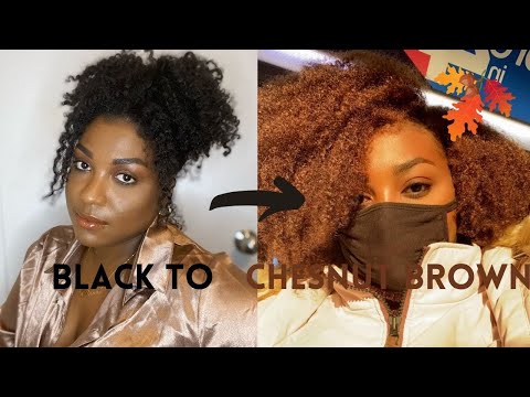 DYING MY NATURAL TYPE 4 HAIR CHESTNUT BROWN (NO BLEACH) ||JUSTINE SKYE INSPIRED!|| THERESA CHANTAL