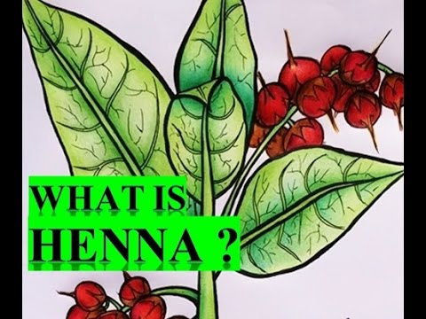 What is Henna ?