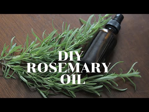 DIY Rosemary Oil for Hair | Rosemary Oil For Extreme Hair Growth!