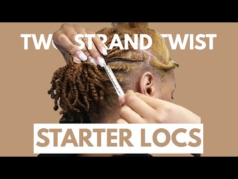Two Strand Twist Starter Loc Tutorial | DaishaView