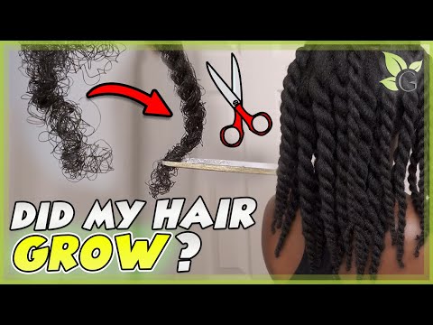 I STOPPED trimming my ends for 8 MONTHS – This is what happened