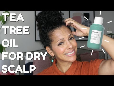 HOW TO USE TEA TREE OIL FOR A DRY &amp; ITCHY SCALP | DISCOCURLSTV