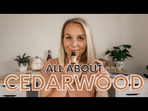 Cedarwood Essential Oil Uses and Benefits - Cedarwood Essential Oils 101 | Torey Noora