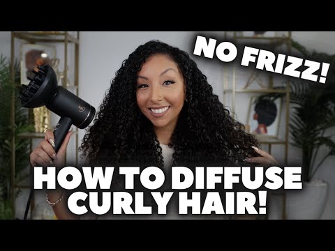 How To Diffuse Curly Hair! NO FRIZZ! | BiancaReneeToday