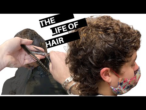 How To Cut A Short Wolf Cut Mullet Hair Cut