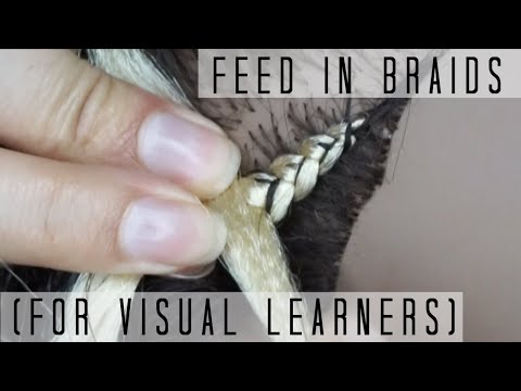 How To Do Feed In Braids | For Visual Learners