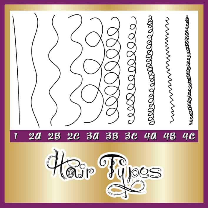 hair type chart showing multiple hair types 