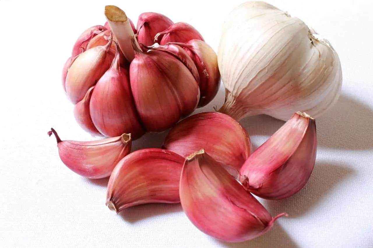 garlic for hair shedding