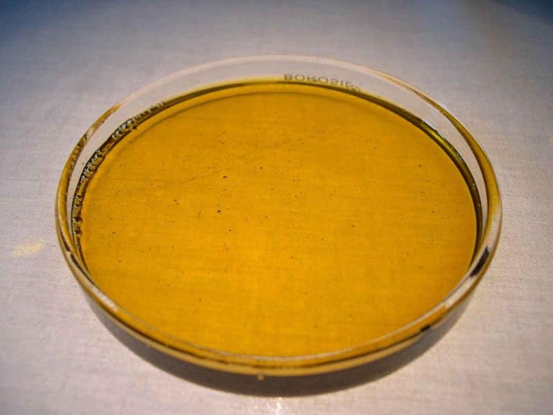 The Benefits of Neem Oil for Hair, Scalp, and Skin Conditions 10 golden brown yellow neem oil