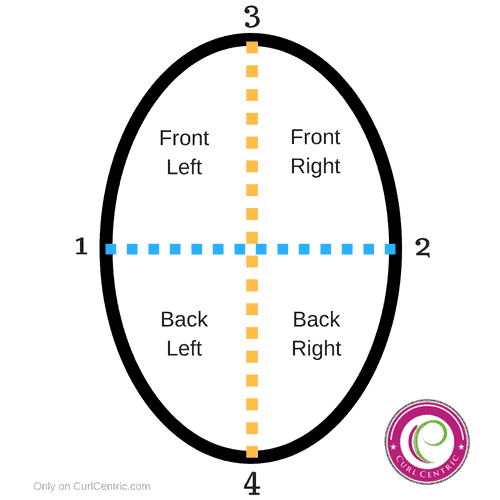 big chop diagram