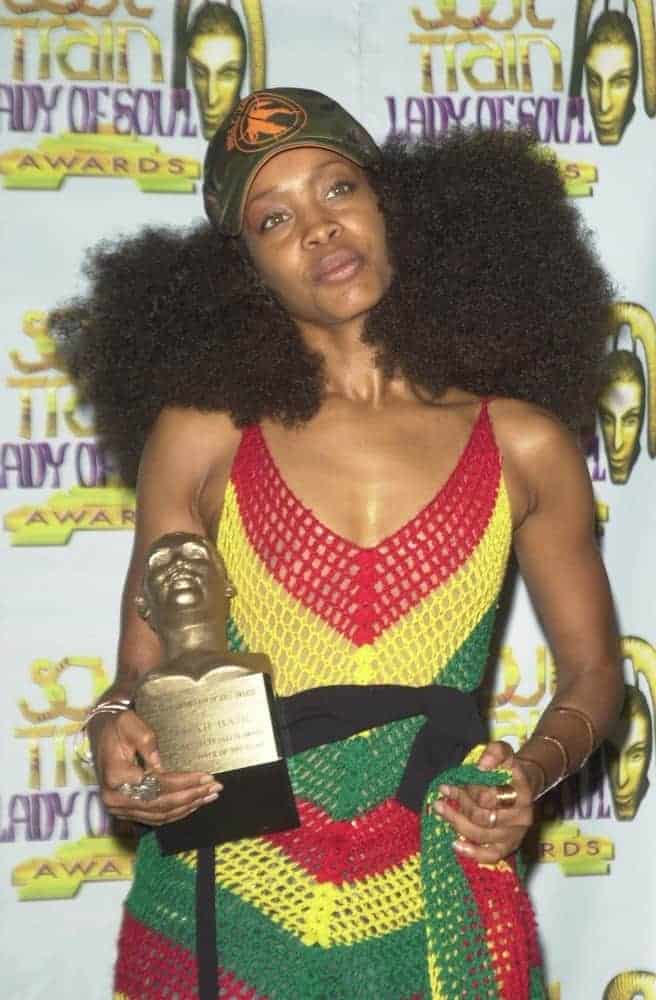 Erykah Badu showing off her black hair texture at the 9th Annual Soul Train Lady of Soul Awards