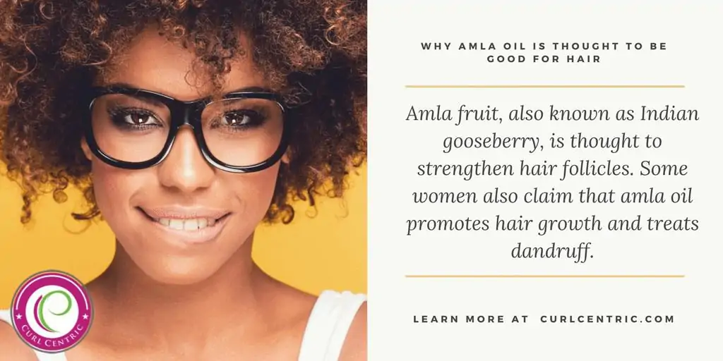 Quotable that highlights the benefits of Amla fruit, like hair nourishment, vitamin C, vitamin E, and more.