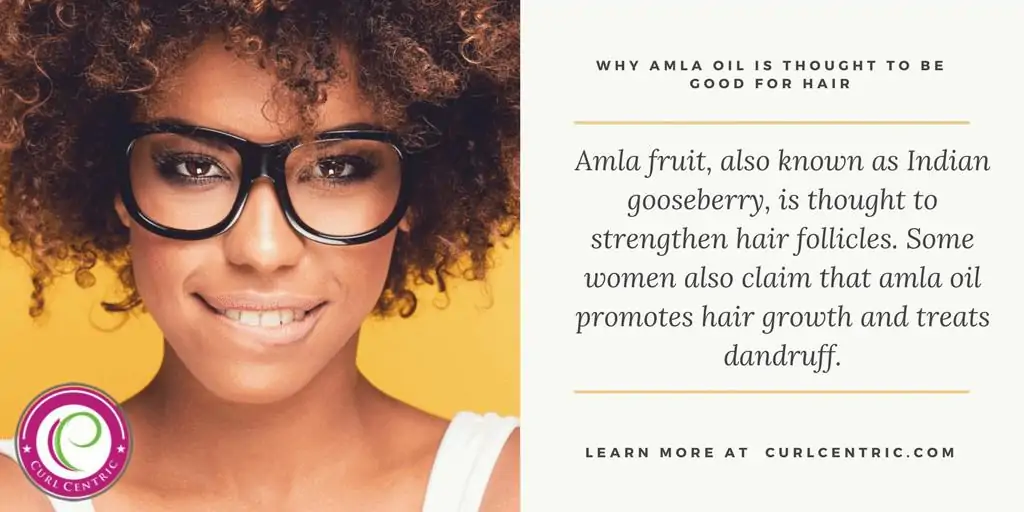 How to Use Amla Oil for Hair Growth: DIY Guide for Beginners 2 Quotable that highlights the benefits of Amla fruit, like hair nourishment, vitamin C, vitamin E, and more.