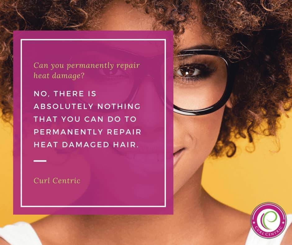 Infographic by Curl Centric that ask the question, can you permanently repair heat damaged hair. It goes on to say that there is absolutely nothing that you can do to permanently repair heat damage hair. 