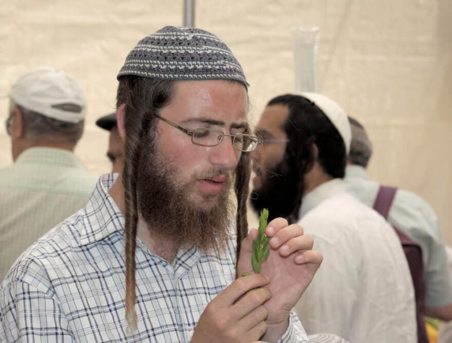 Orthodox Jewish men with naturally straight hair wearing sidelocks (or peyot curls) according to Jewish law.