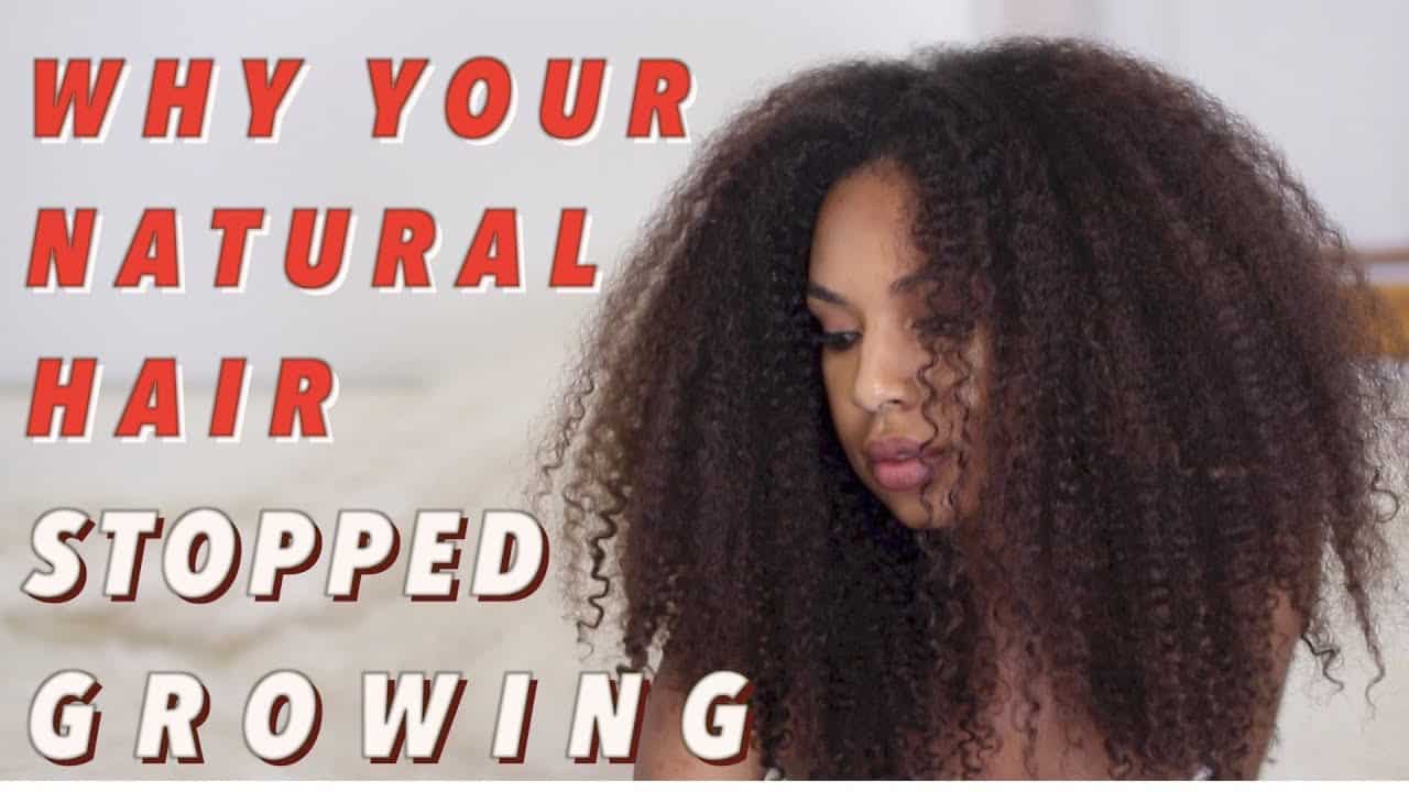 How to Use Chebe Powder for Hair Growth and Other Benefits How to Use Chebe Powder for Hair Growth and Other Benefits