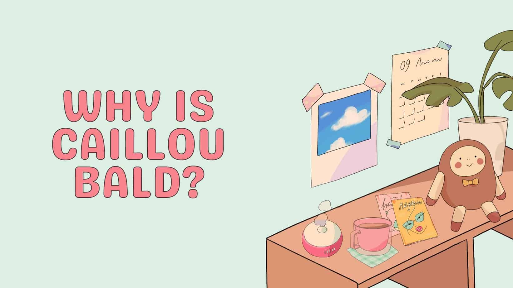 Why Is Caillou Bald? Why Doesn't Caillou Have Hair?