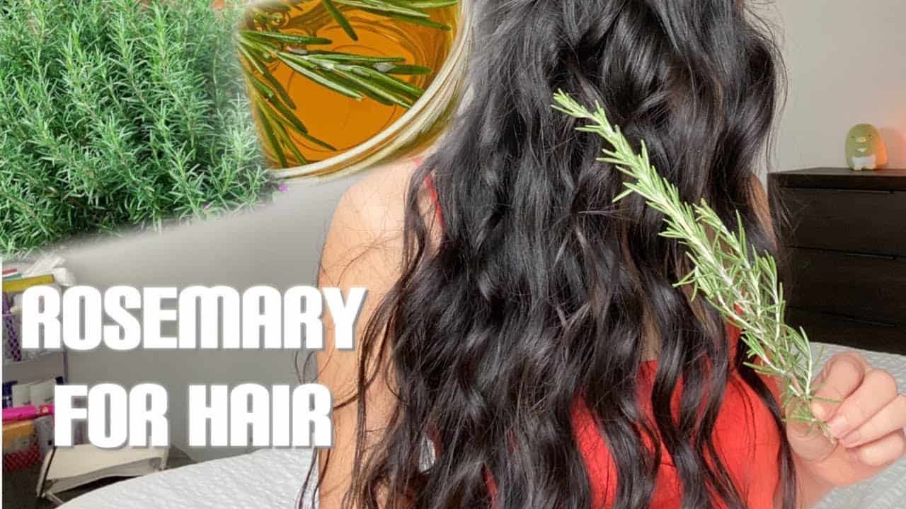 Share more than 72 rosemary water for hair super hot in.eteachers
