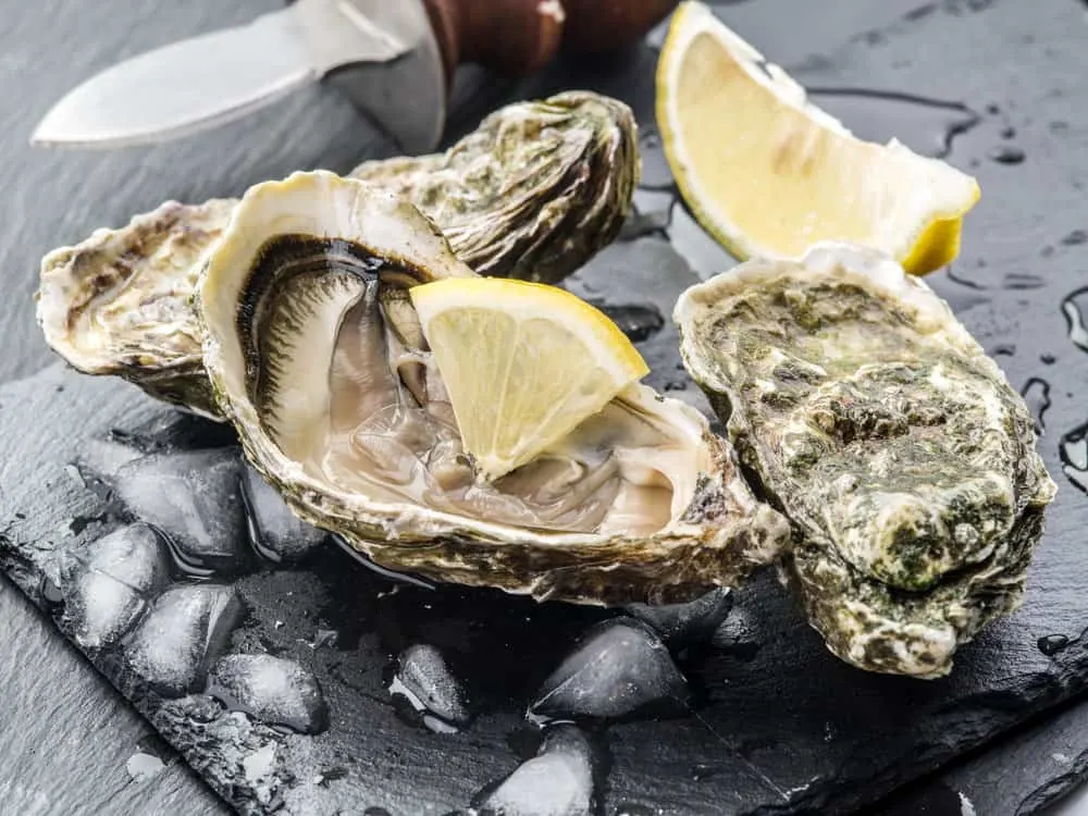 Oysters arranged on a countertop, with rough, mottled texture in shades of gray and beige, topped with a lemon.