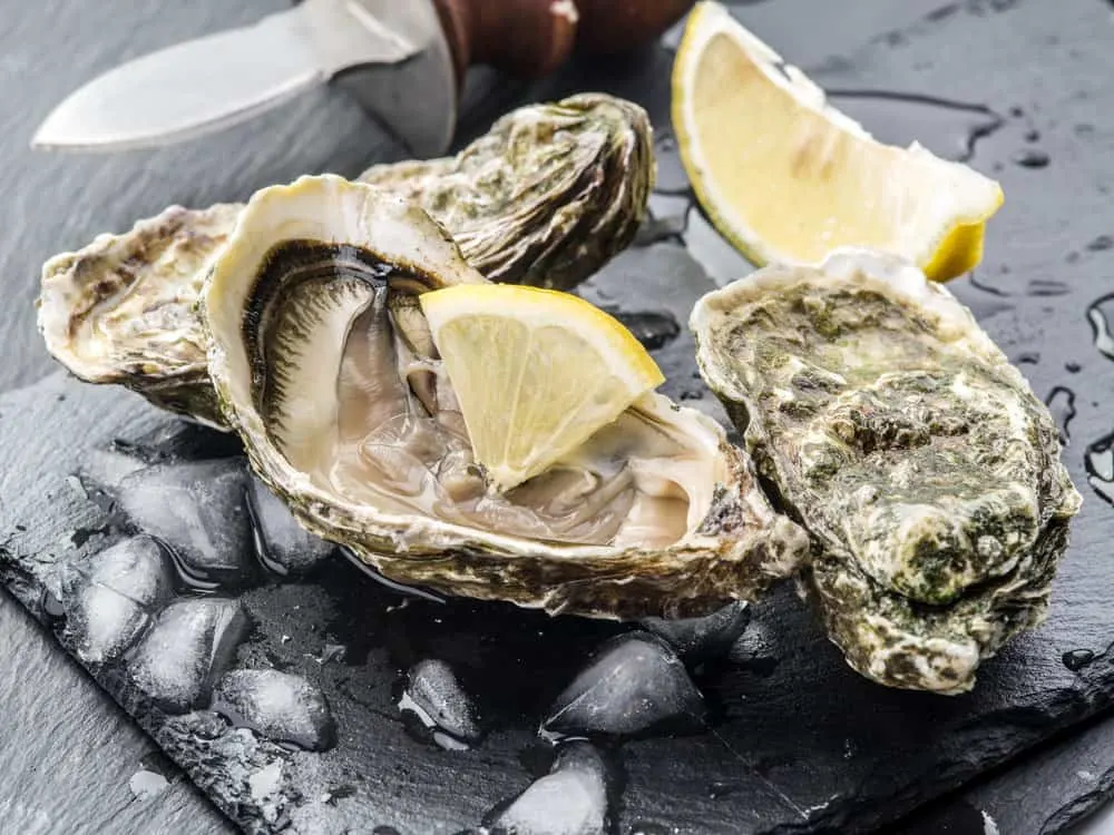 Hair Foods: The Best Food for Hair Growth and Thickness 6 Oysters arranged on a countertop, with rough, mottled texture in shades of gray and beige, topped with a lemon.