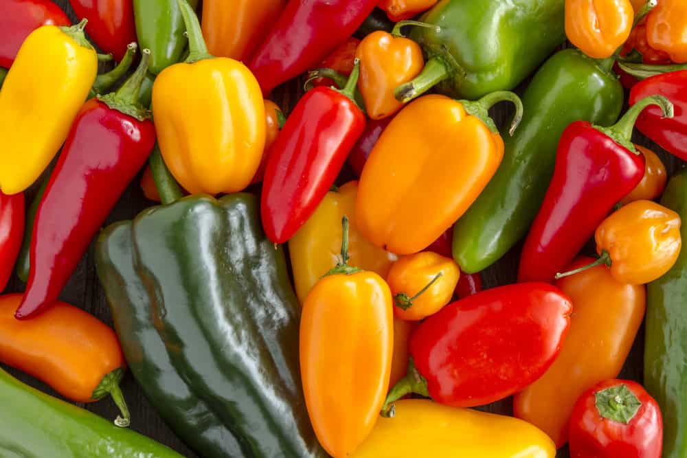 A vibrant and bountiful selection of assorted hot and sweet peppers of different colors and sizes.