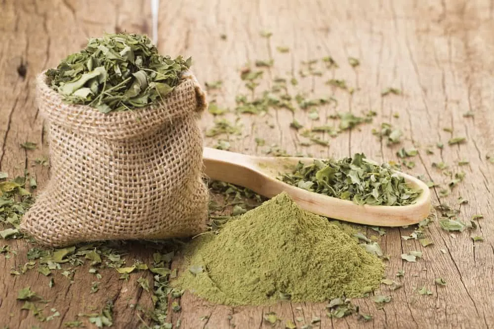 Ayurvedic Hair Growth: How to Use Ayurveda Hair Oil & Herbs 16 Moringa Ayurvedic herbs are used to improve blood circulation and encourage hair regrowth.