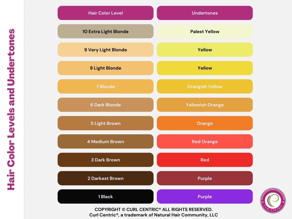 This hair color levels and undertones chart is a visual guide showing the range of hair colors from darkest to lightest and the underlying tones at each level.