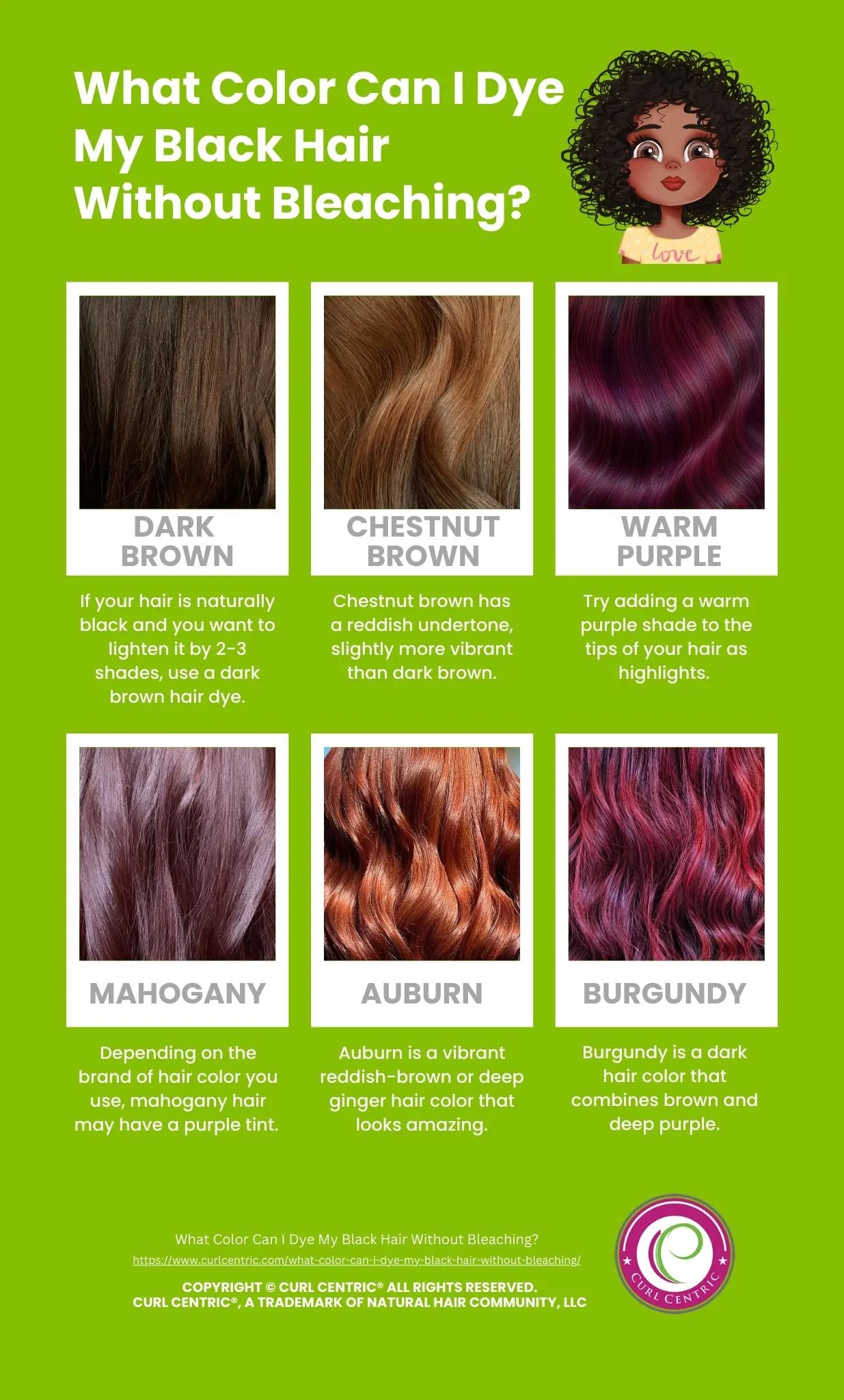 what color can I dye my black hair without bleaching infographic